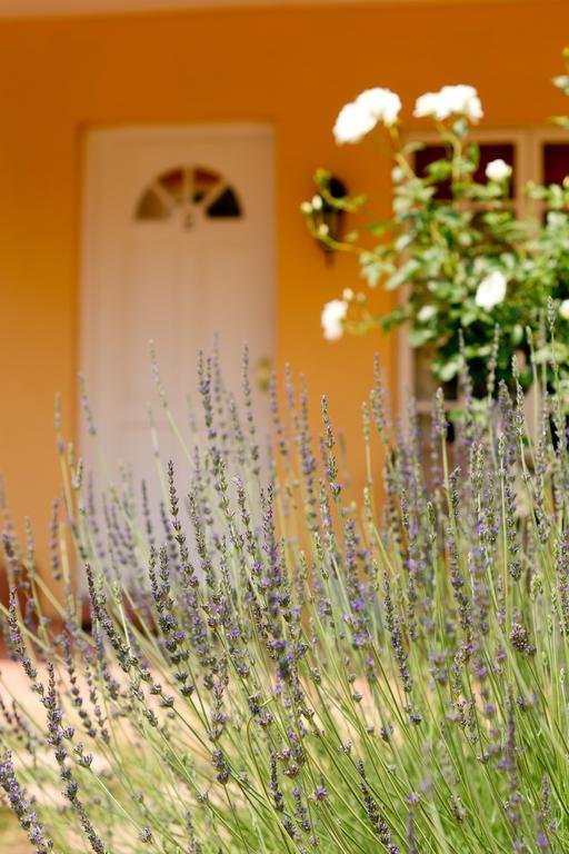 Little Tuscany Boutique Hotel Johannesburg Eksteriør billede